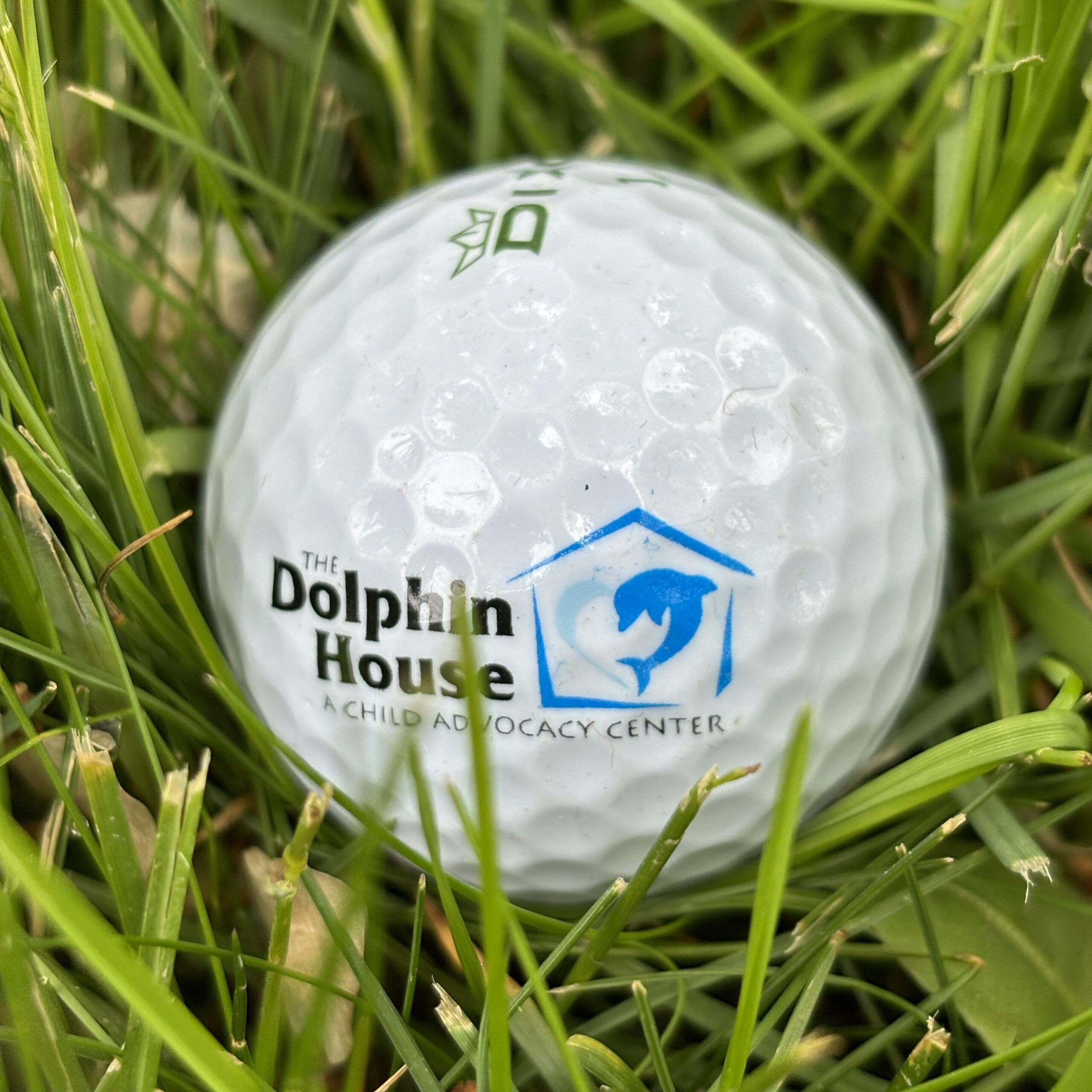 Dolphin House 5k logo